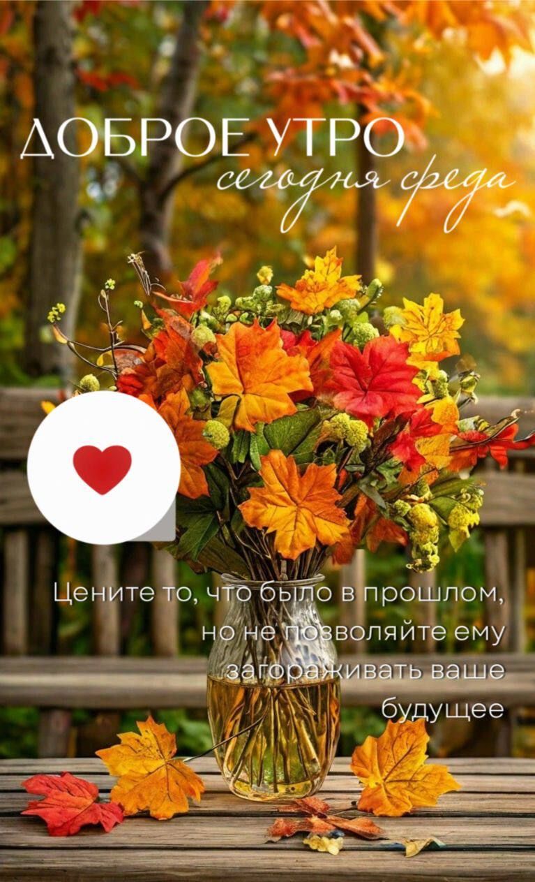 ДОБРОЕ УТРО
сегодня среда
Цените то, что было в прошлом, но не позволяйте ему загоряживать ваше будущее