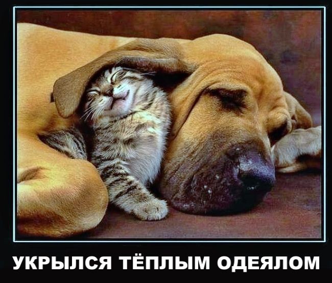 УКРЫЛСЯ ТЁПЛЫМ ОДЕЯЛОМ