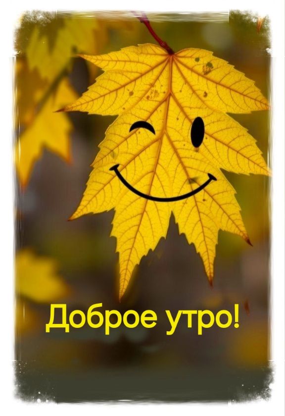 Доброе утро!