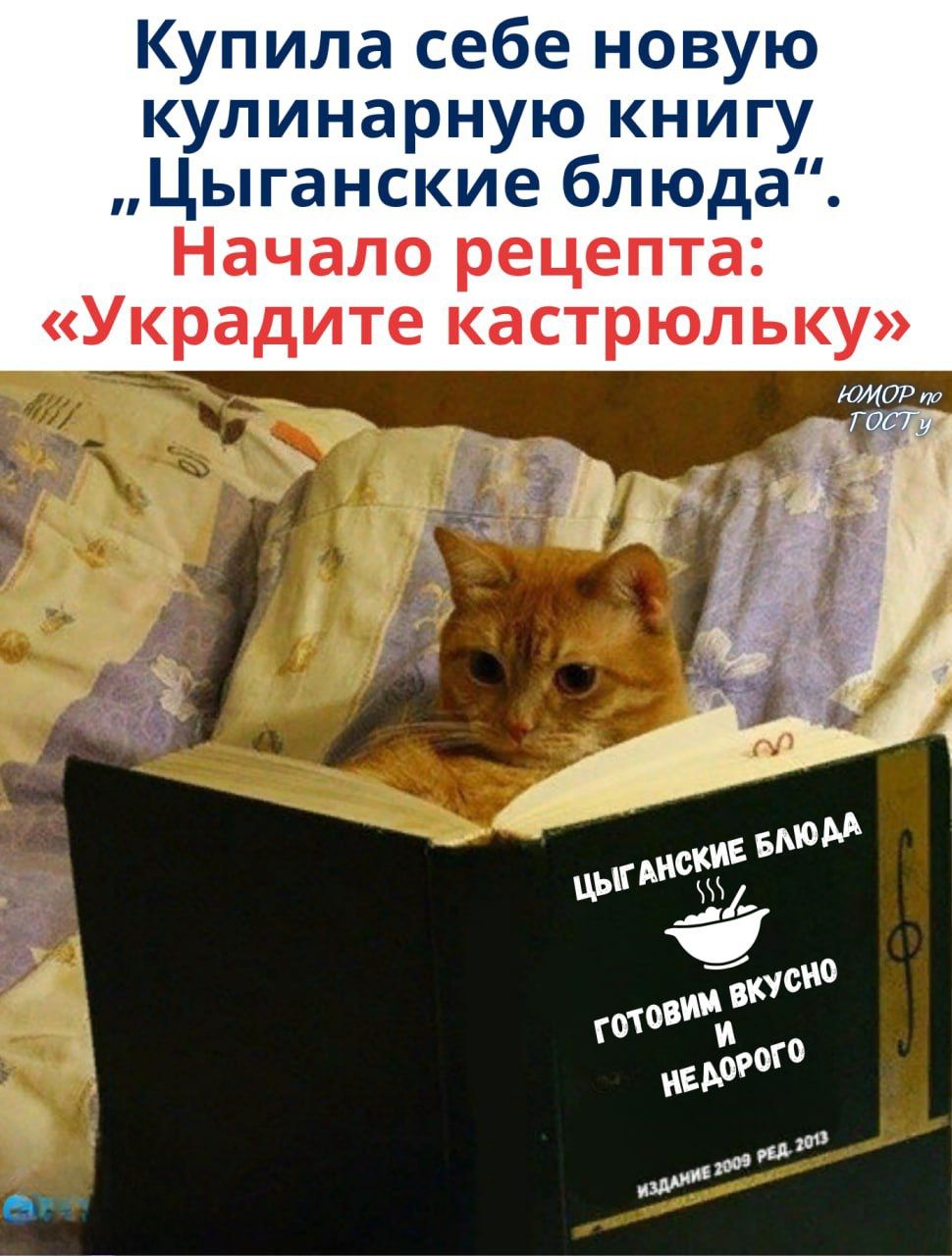 Купила себе новую кулинарную книгу 