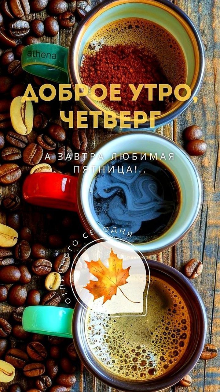 ДОБРОЕ УТРО, ЧЕТВЕРГ
А ЗАВТРА ЛЮБИМАЯ ПЯТНИЦА!..
ОТТИХОГО СЕГОДНЯ