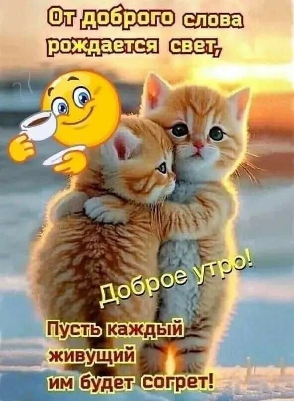 От доброго слова рождается свет,
Доброе утро!
Пусть каждый живущий им будет согрет!