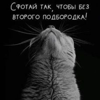 Сфотай так, чтобы без второго подбородка!
