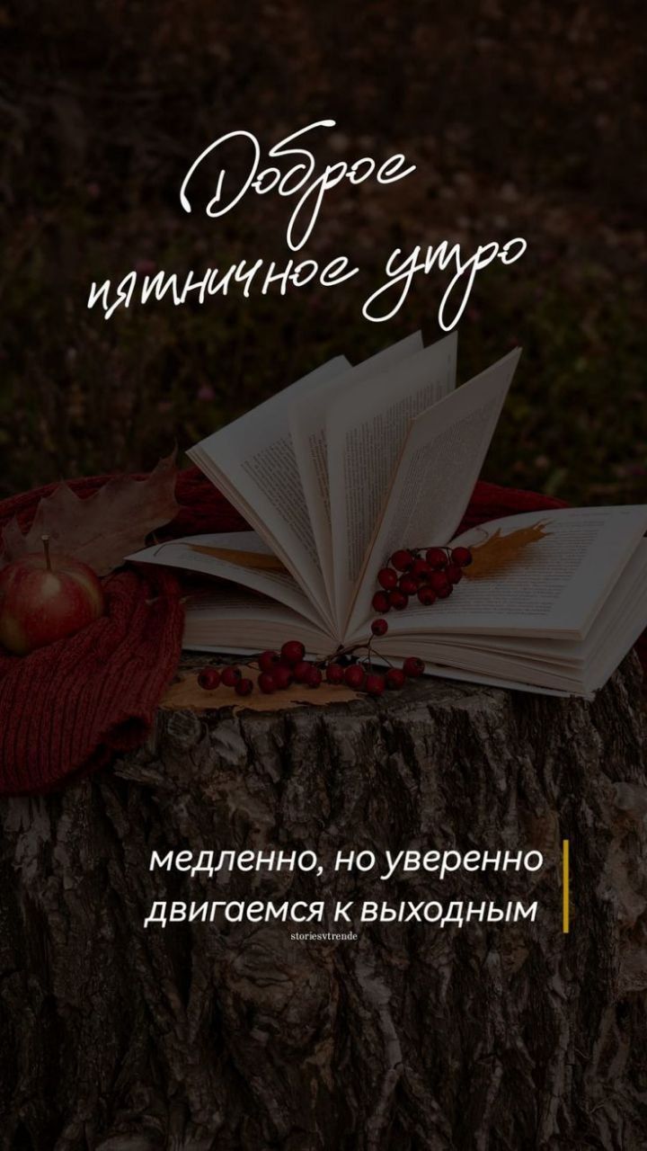 Доброе пятничное утро
медленно, но уверенно
двигаемся к выходным