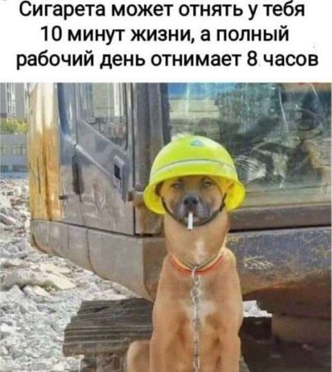 Сигарета может отнять у тебя 10 минут жизни, а полный рабочий день отнимает 8 часов