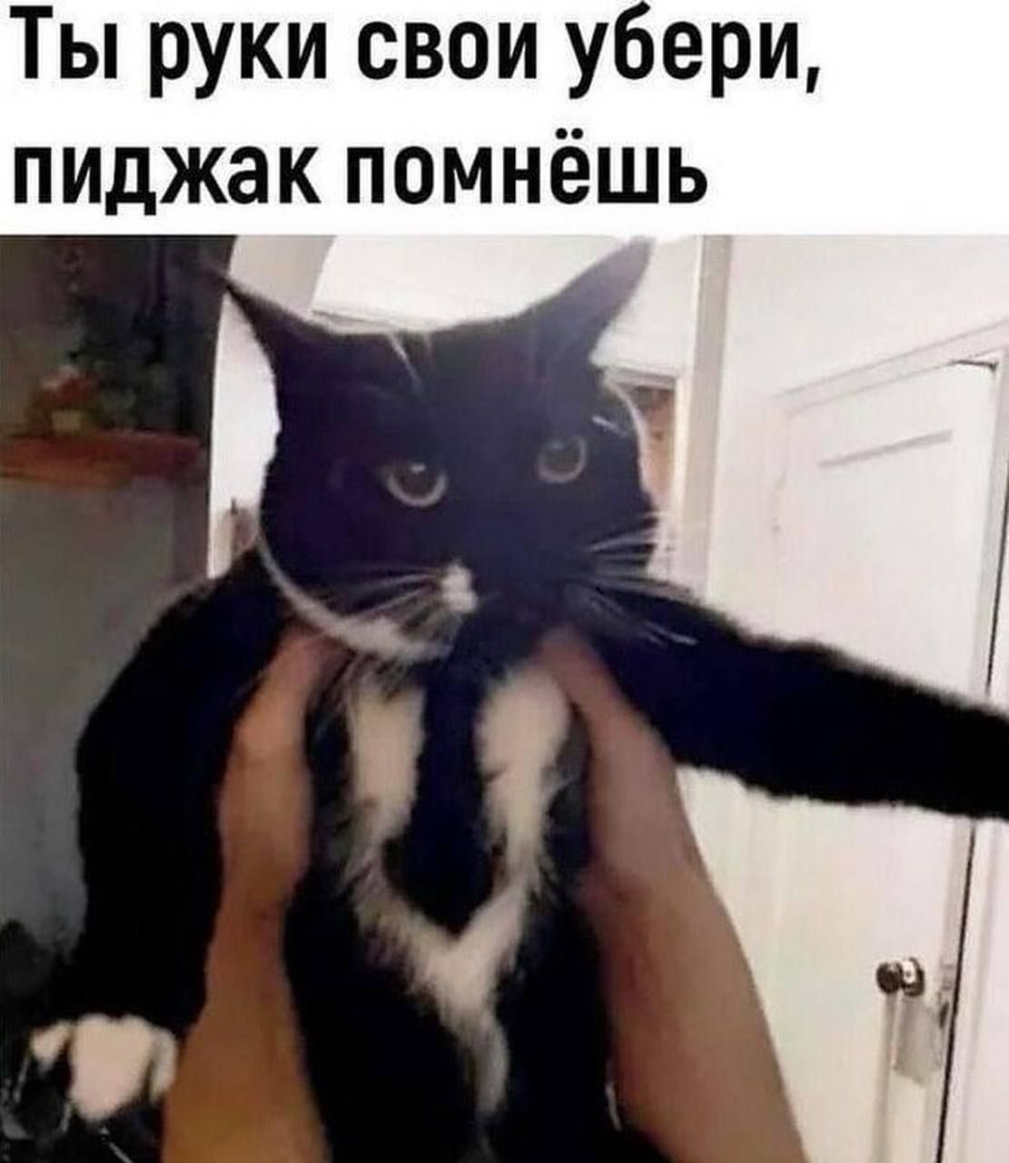 Ты руки свои убери, пиджак поменёшь