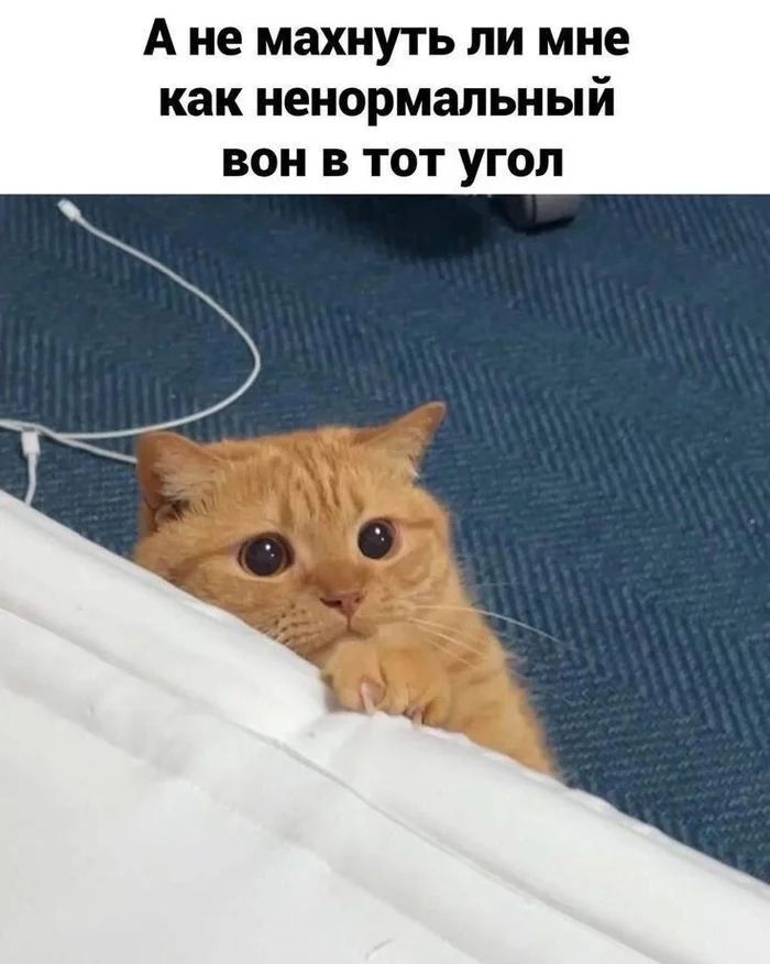А не махнуть ли мне как ненормальный вон в тот угол