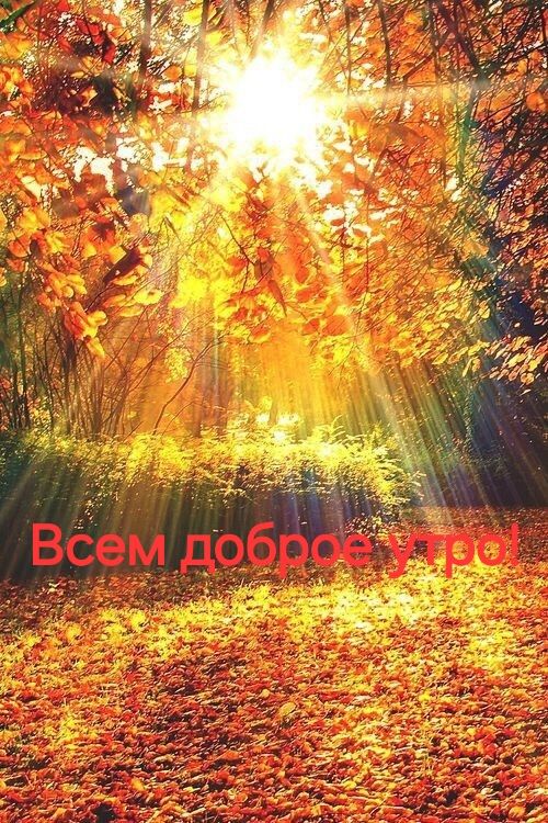 Всем доброе утро!