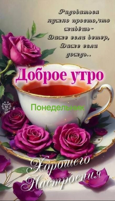 Работаться нужно просто, что живёшь - Даже если ветер, Даже если дождь..
Доброе утро
Понедельник
Хорошего Настроения