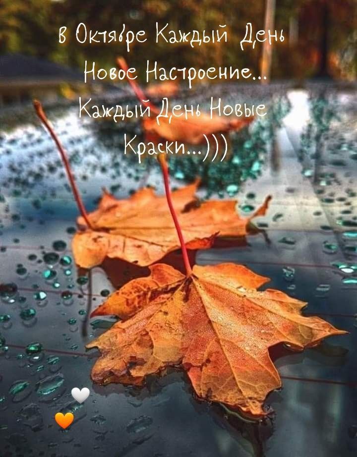 в Октябре Каждый День Новое Настроение... Каждый День Новые Краски...))))