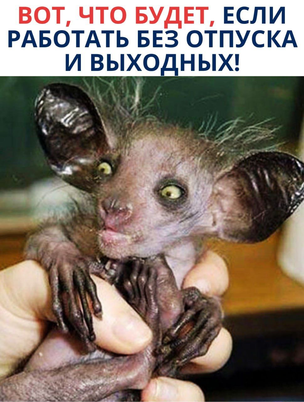 ВОТ, ЧТО БУДЕТ, ЕСЛИ РАБОТАТЬ БЕЗ ОТПУСКА И ВЫХОДНЫХ!