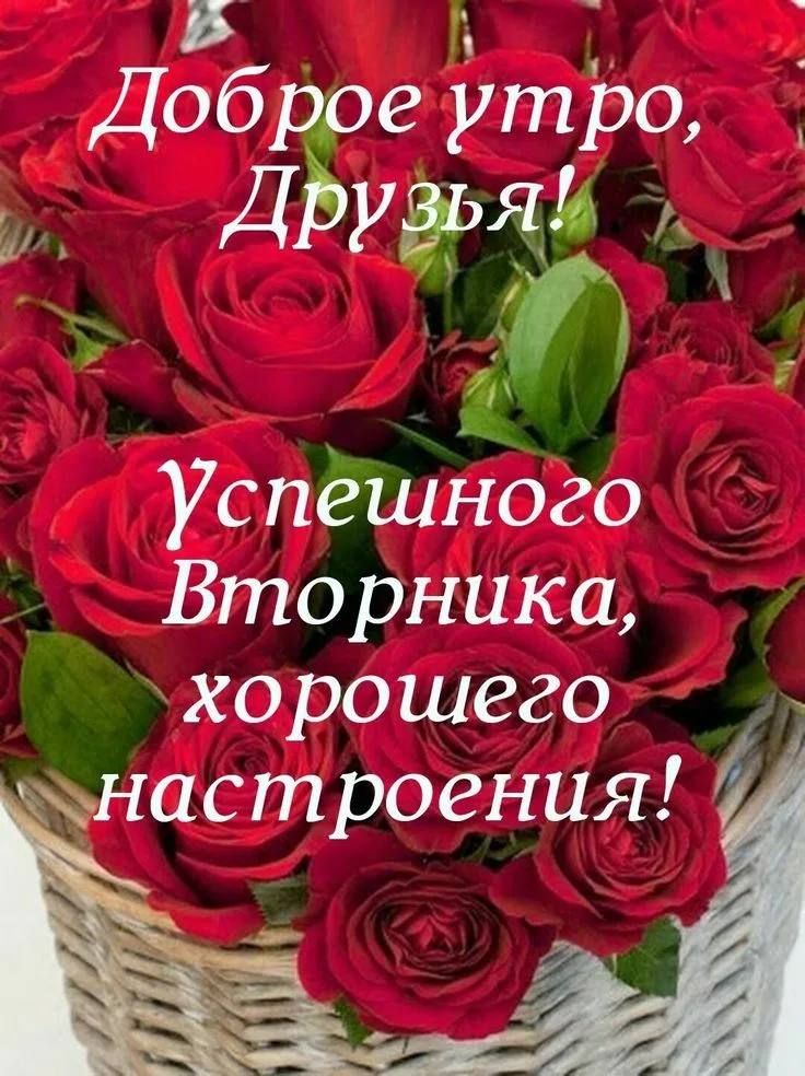 Доброе утро, Друзья! Успешного Вторника, хорошего настроения!