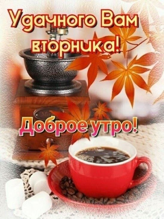 Удачного Вам вторника! Доброе утро!