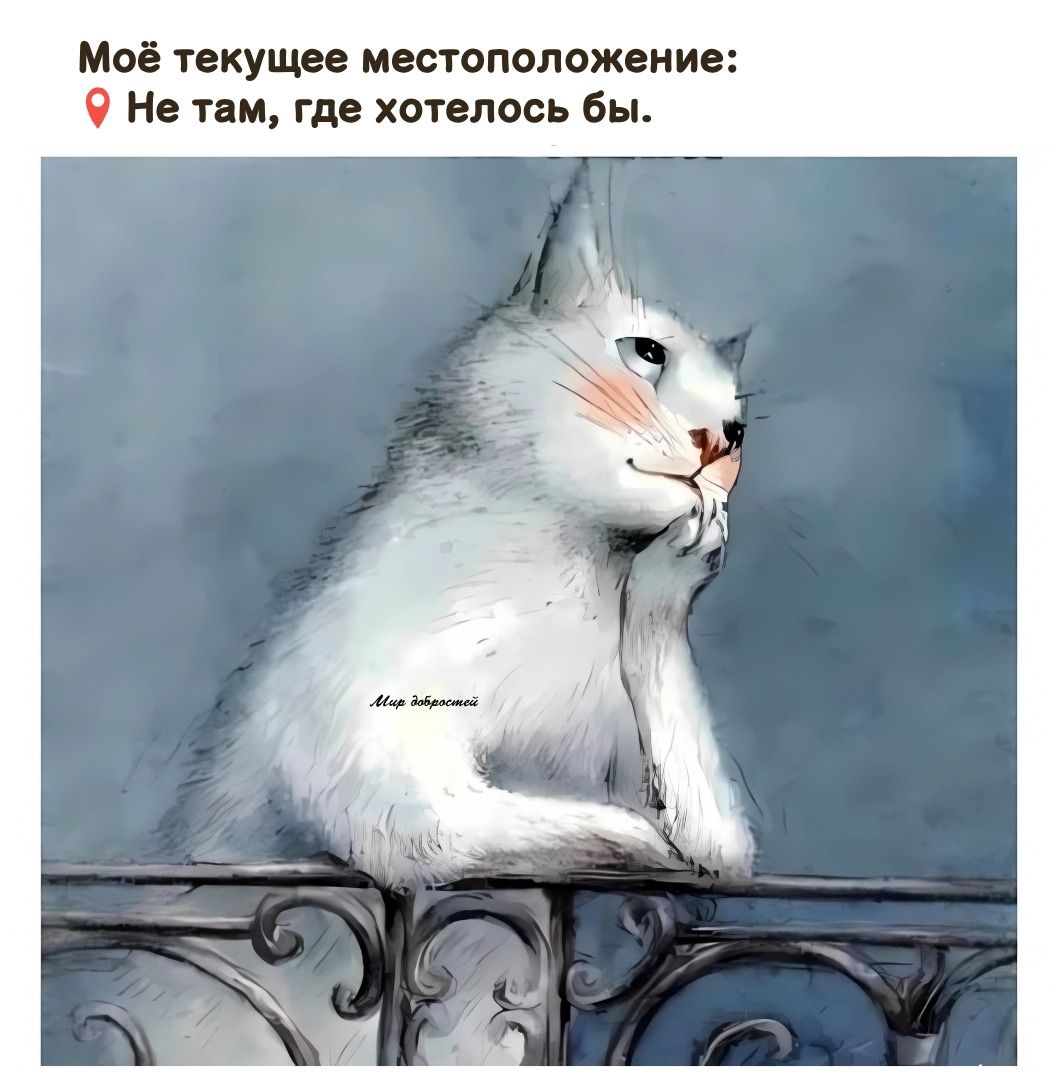 Моё текущее местоположение: ⭕ Не там, где хотелось бы.