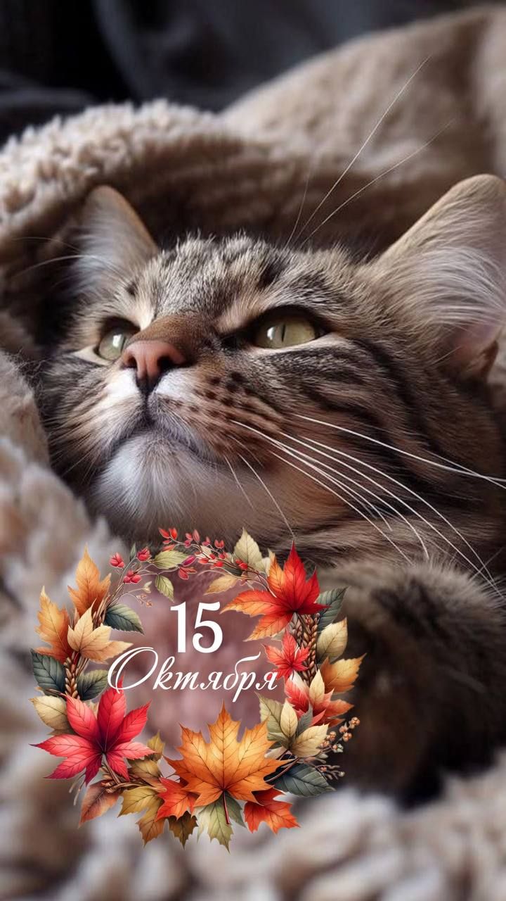 15 Октября