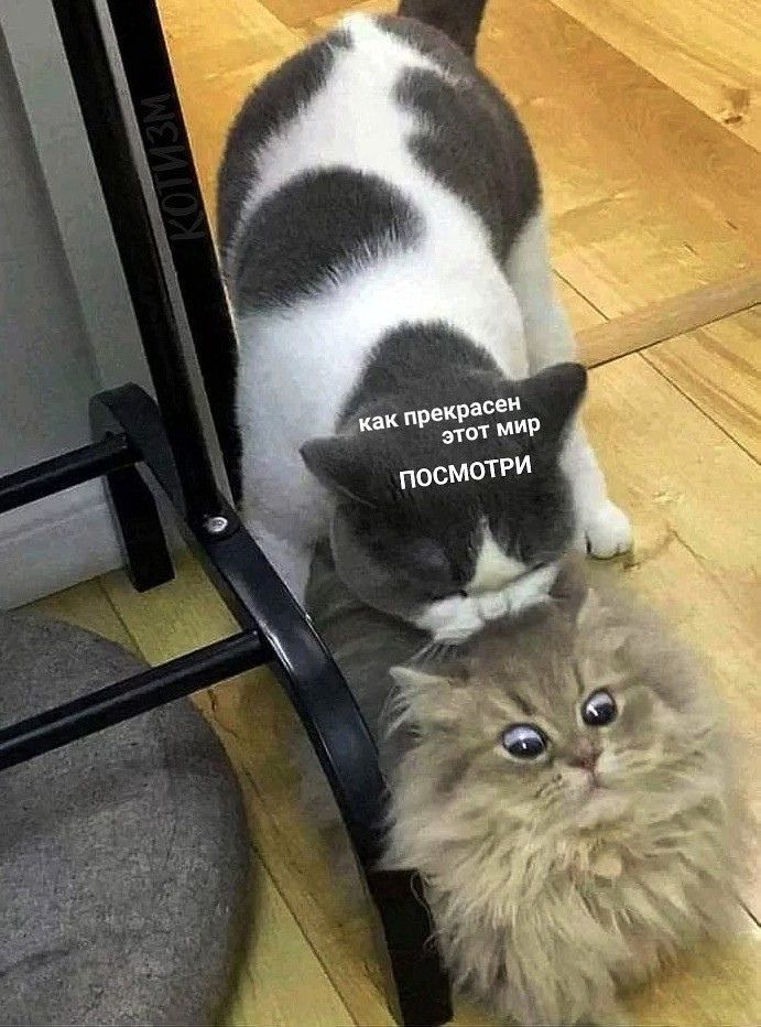как прекрасен этот мир ПОСМОРИ