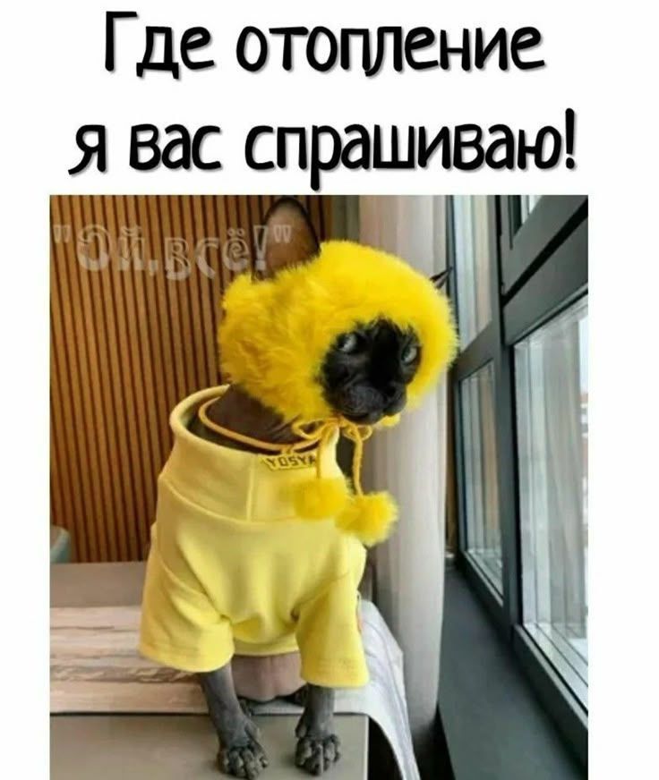 Где отопление я вас спрашиваю!