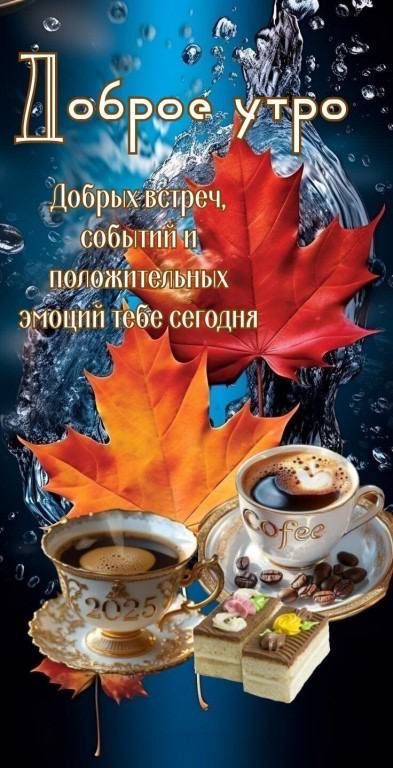 Доброе утро
Добрых встреч, событий и положительных эмоций тебе сегодня