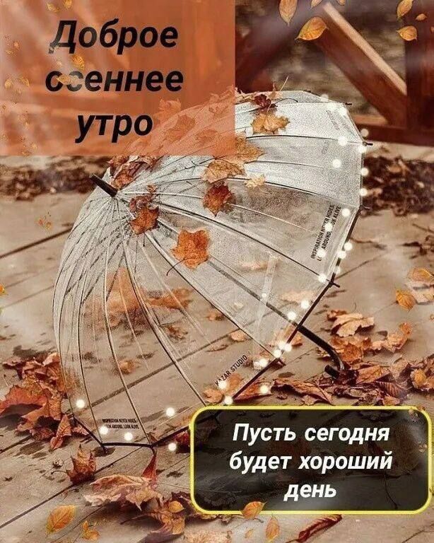 Доброе осеннее утро
Пусть сегодня будет хороший день
