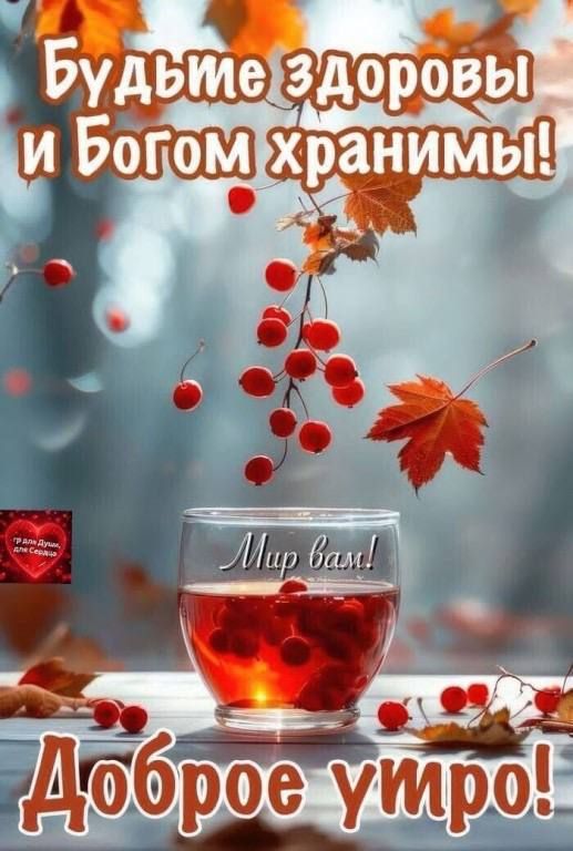 Будьте здоровы и Богом хранимы! Мир вам! Доброе утро!