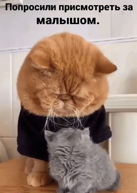 Попросили присмотреть за малышом.