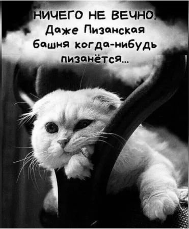 НИЧЕГО НЕ ВЕЧНО. Даже Пизанская башня когда-нибудь пизанётся...
