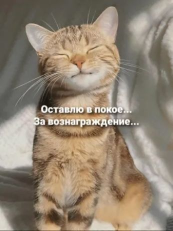 Оставлю в покое... За вознаграждение...