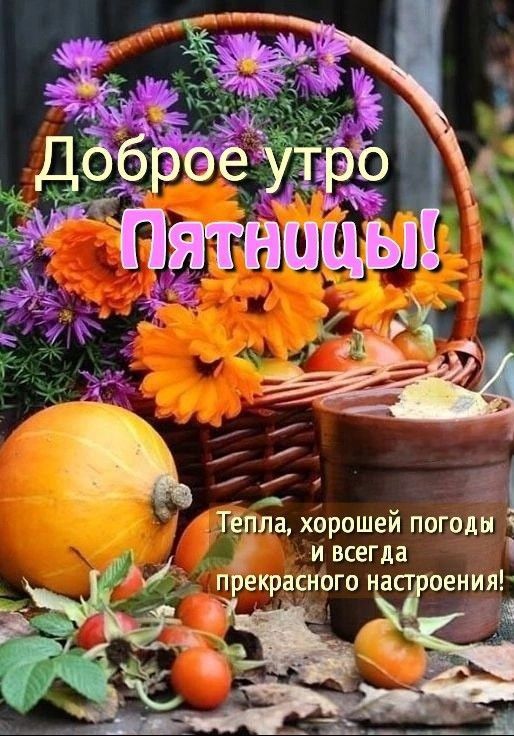 Доброе утро Пятницы! Тепла, хорошей погоды и всегда прекрасного настроения!