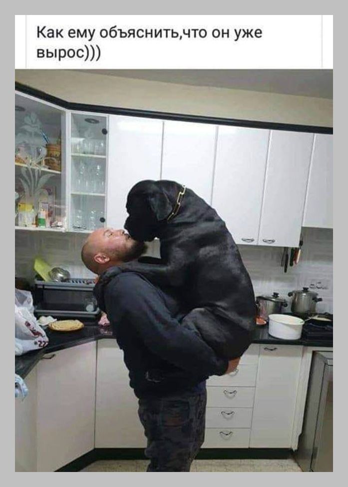 Как ему объяснить, что он уже вырос)))