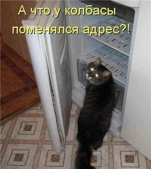 А что, у колбасы поменялся адрес?!