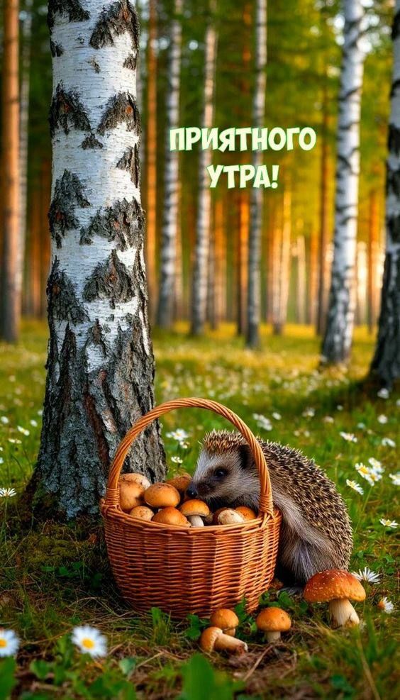 ПРИЯТНОГО УТРА!