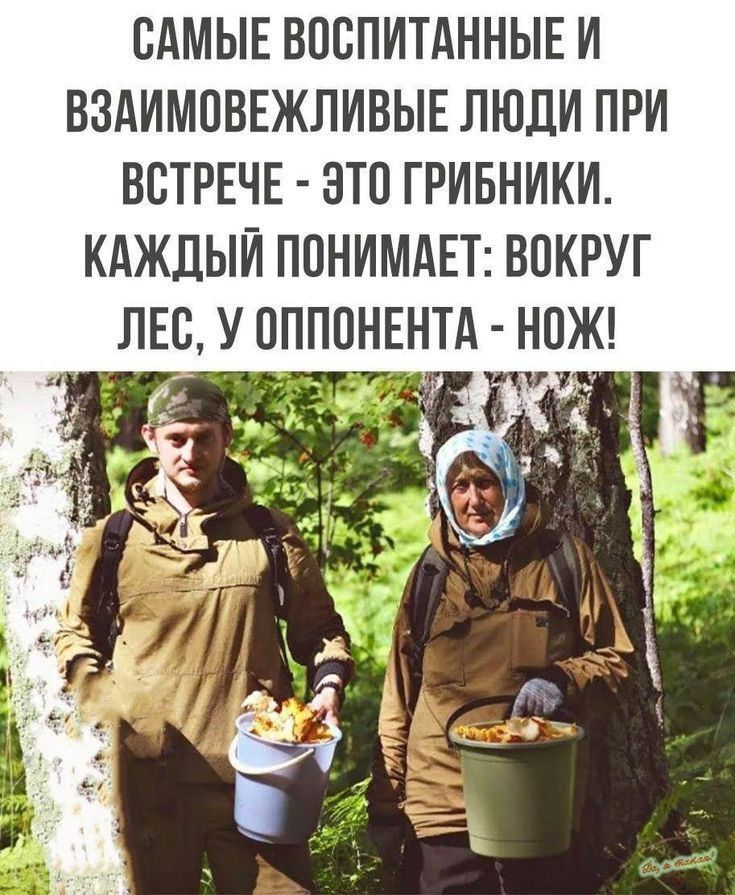САМЫЕ ВОСПИТАННЫЕ И ВЗАИМОВЕЖЛИВЫЕ ЛЮДИ ПРИ ВСТРЕЧЕ - ЭТО ГРИБНИКИ. КАЖДЫЙ ПОНИМАЕТ: ВОКРУГ ЛЕС, У ОППОНЕНТА - НОЖ!