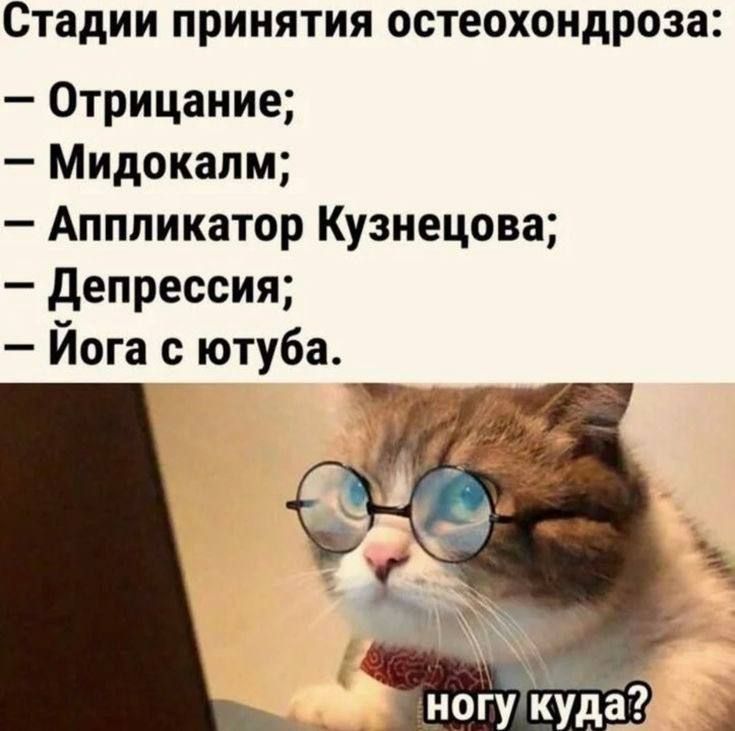 Стадии принятия остеохондроза:
— Отрицание;
— Мидокалм;
— Аппликатор Кузнецова;
— Депрессия;
— Йога с ютуба.
ногу куда?