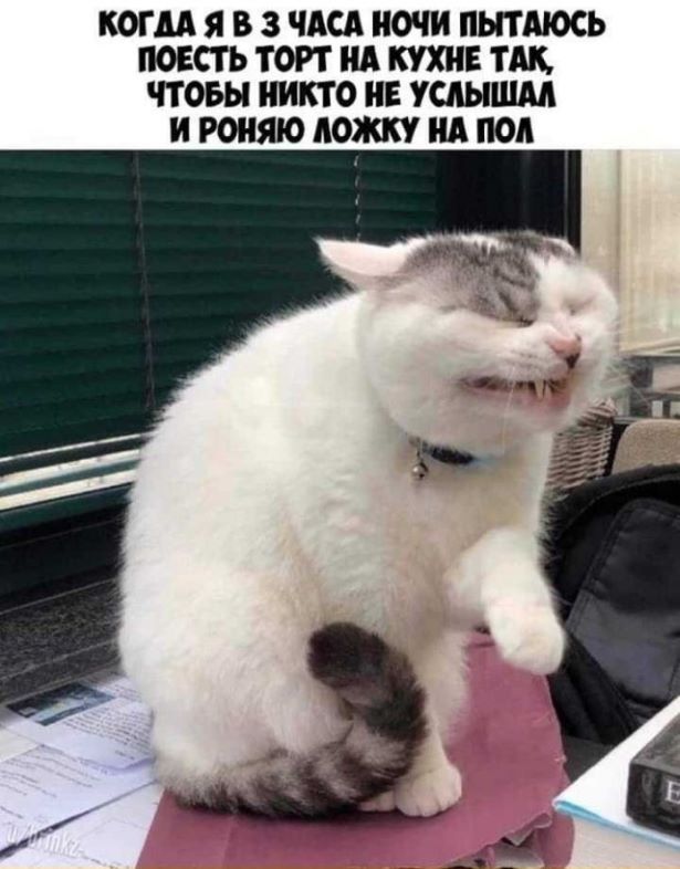 КОГДА Я В 3 ЧАСА НОЧИ ПЫТАЮСЬ ПОЕСТЬ ТОРТ НА КУХНЕ ТАК, ЧТОБЫ НИКТО НЕ УСЛЫШАЛ И РОНЯЮ ЛОЖКУ НА ПОЛ