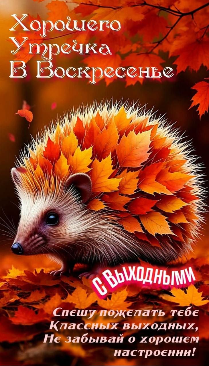 Хорошего Утренечка В Воскресенье
С Выходными
Спешу пожелать тебе
Классных выходных,
Не забывай о хорошем настроении!