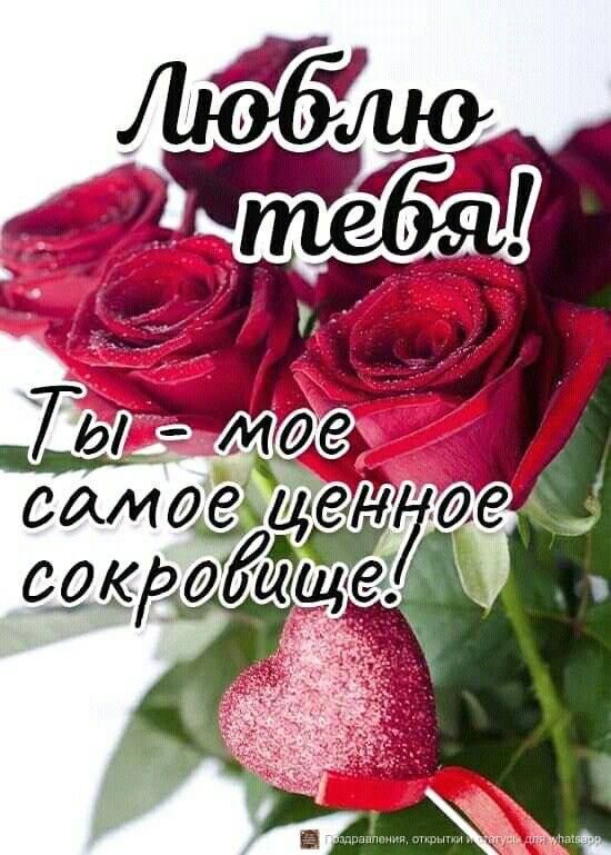Люблю тебя! Ты - моё самое ценное сокровище!