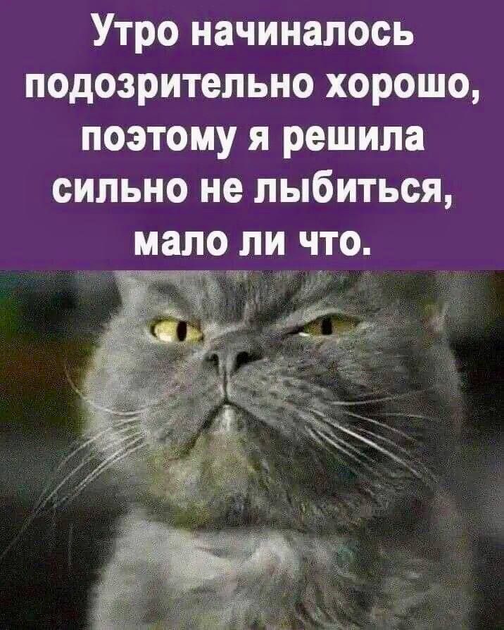 Утро начиналось подозрительно хорошо, поэтому я решила сильно не улыбаться, мало ли что.