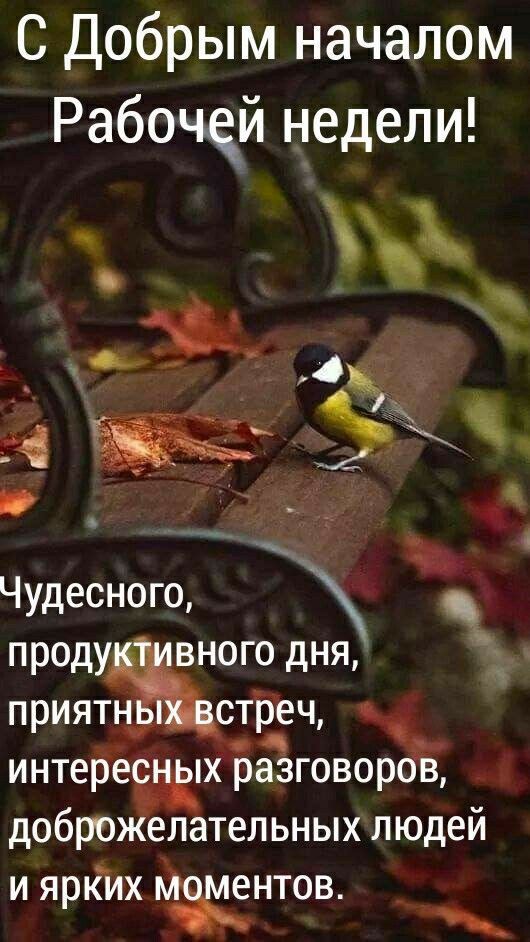 С Добрым началом Рабочей недели!
Чудесного, продуктивного дня, приятных встреч, интересных разговоров, доброжелательных людей и ярких моментов.