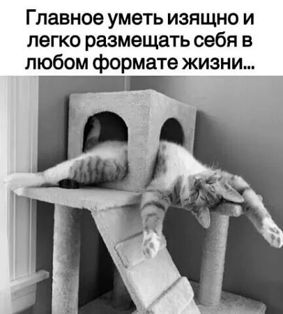 Главное уметь изящно и легко размещать себя в любом формате жизни...