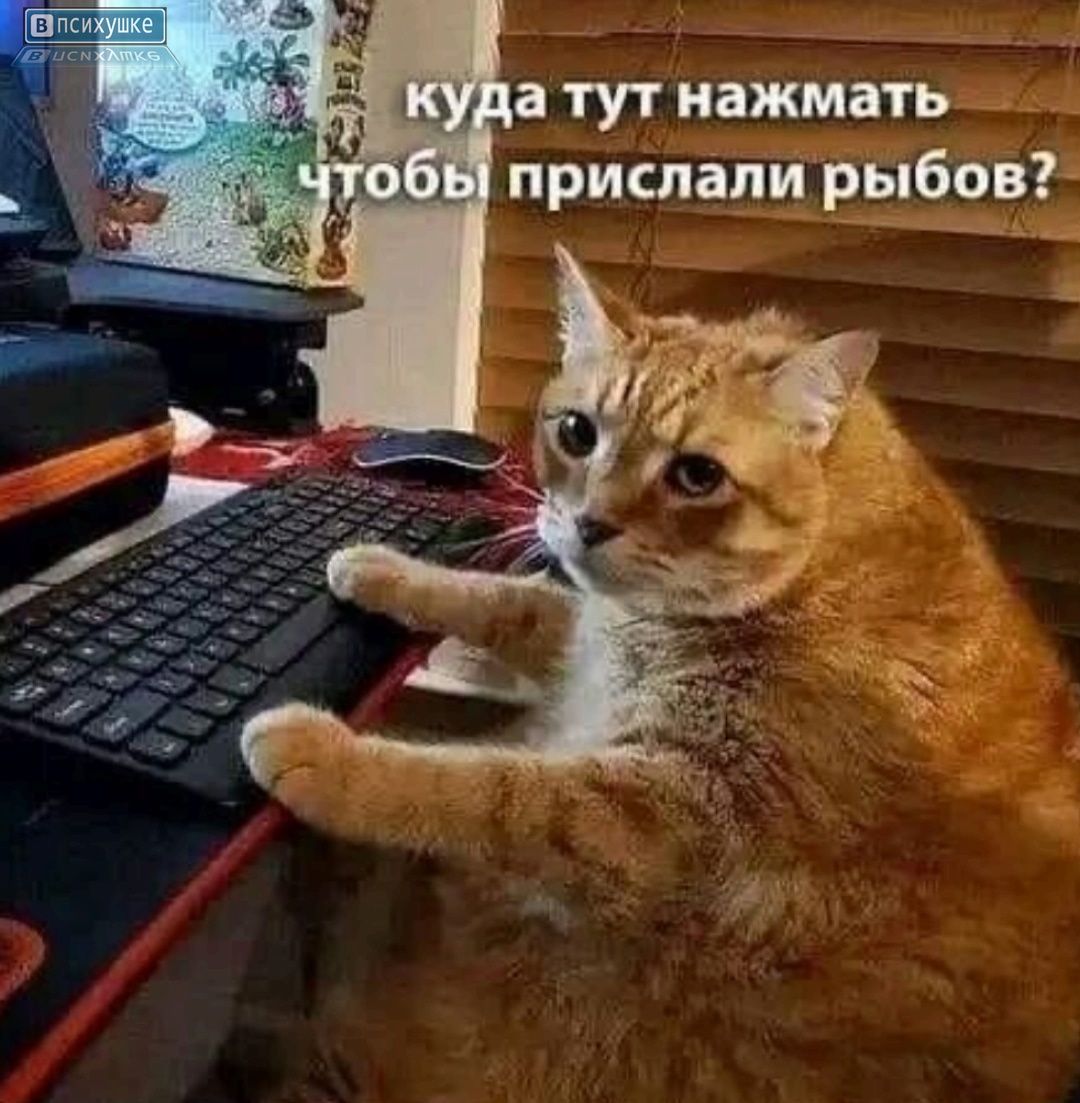 куда тут нажать, чтобы прислали рыбов?
