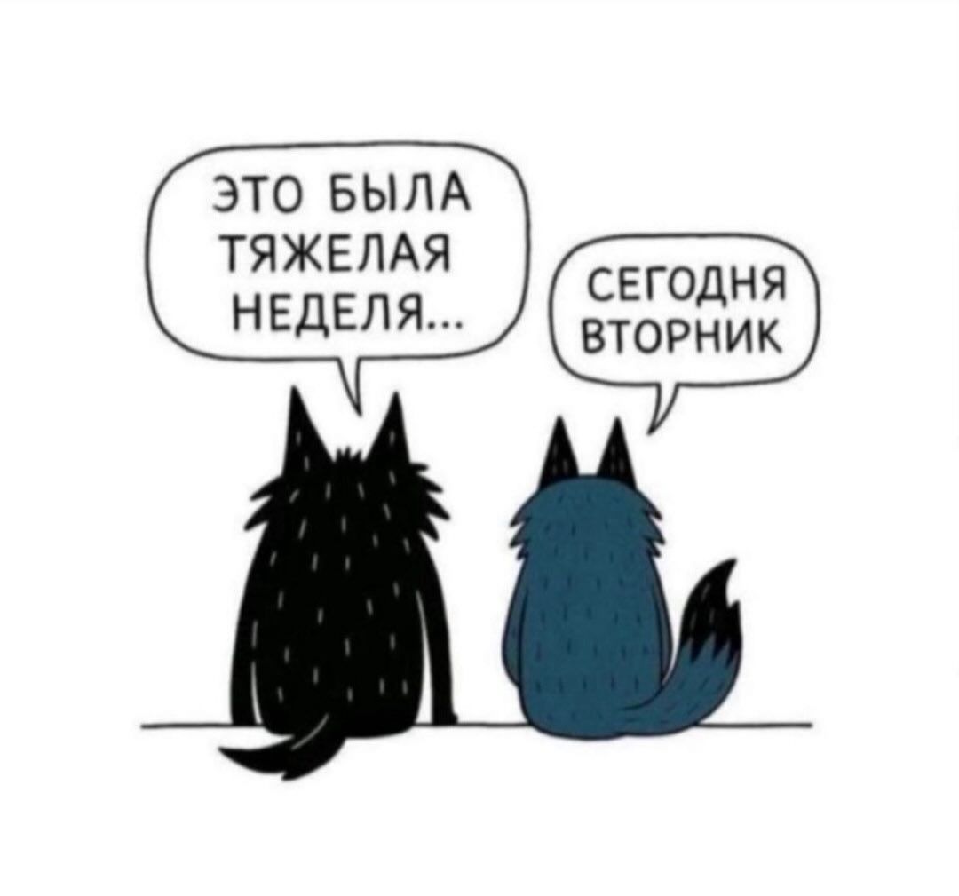 Это была тяжёлая неделя... Сегодня вторник.
