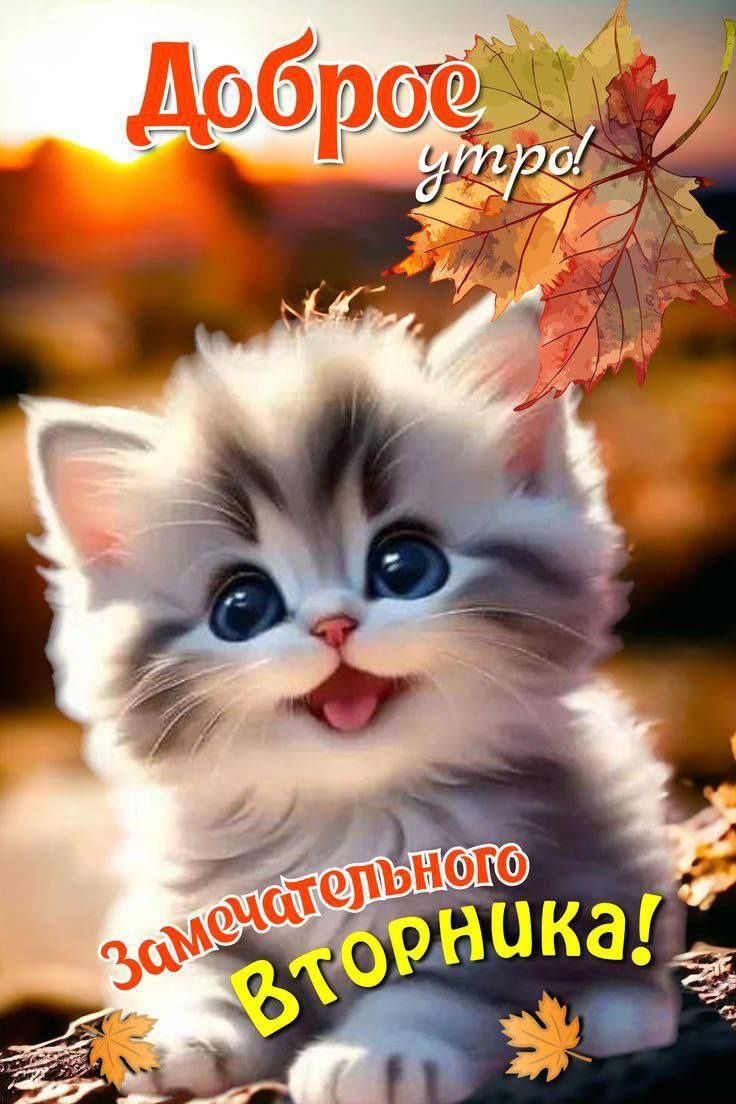 Доброе утро!
Замечательного Вторника!