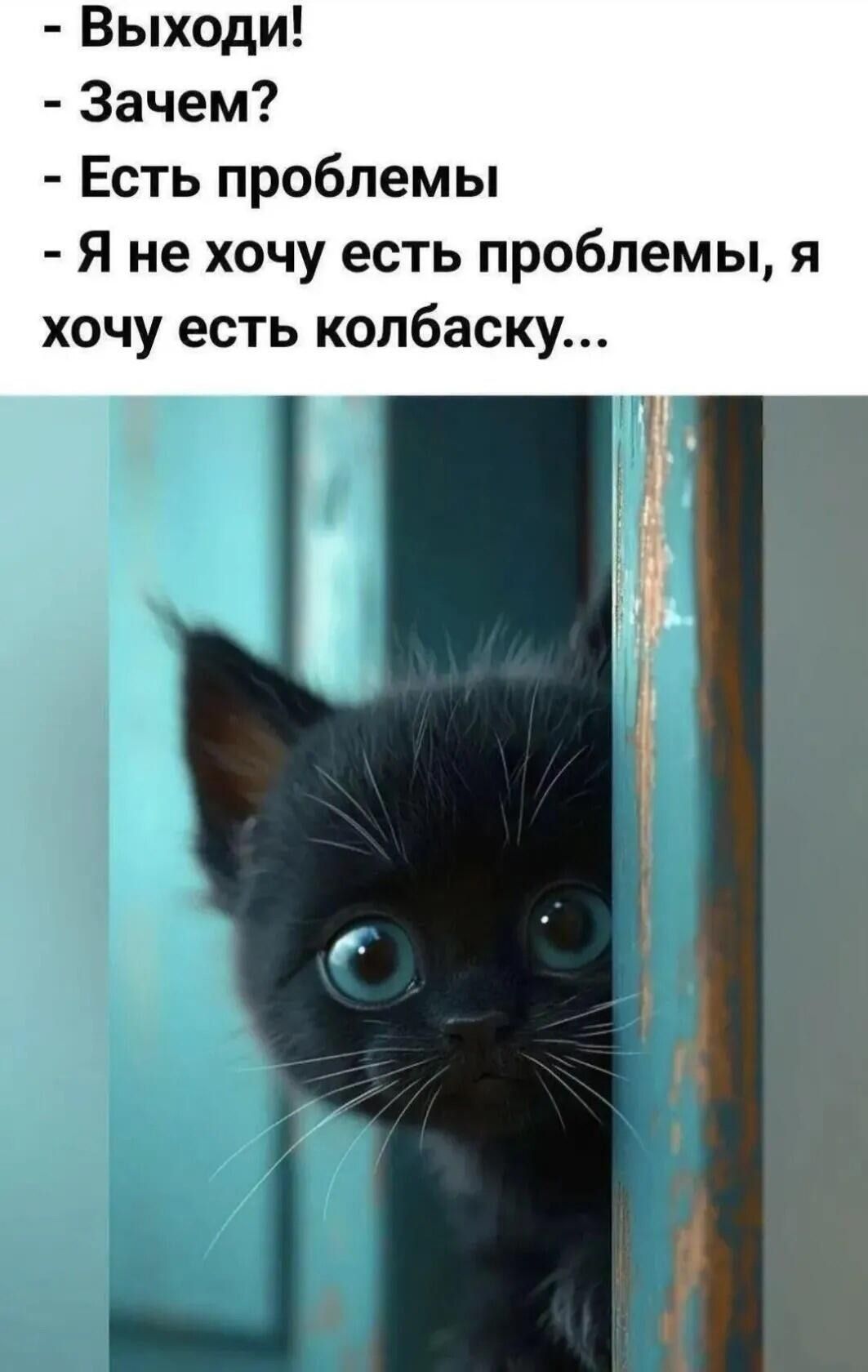 - Выходи!\n- Зачем?\n- Есть проблемы\n- Я не хочу есть проблемы, я хочу есть колбаску...