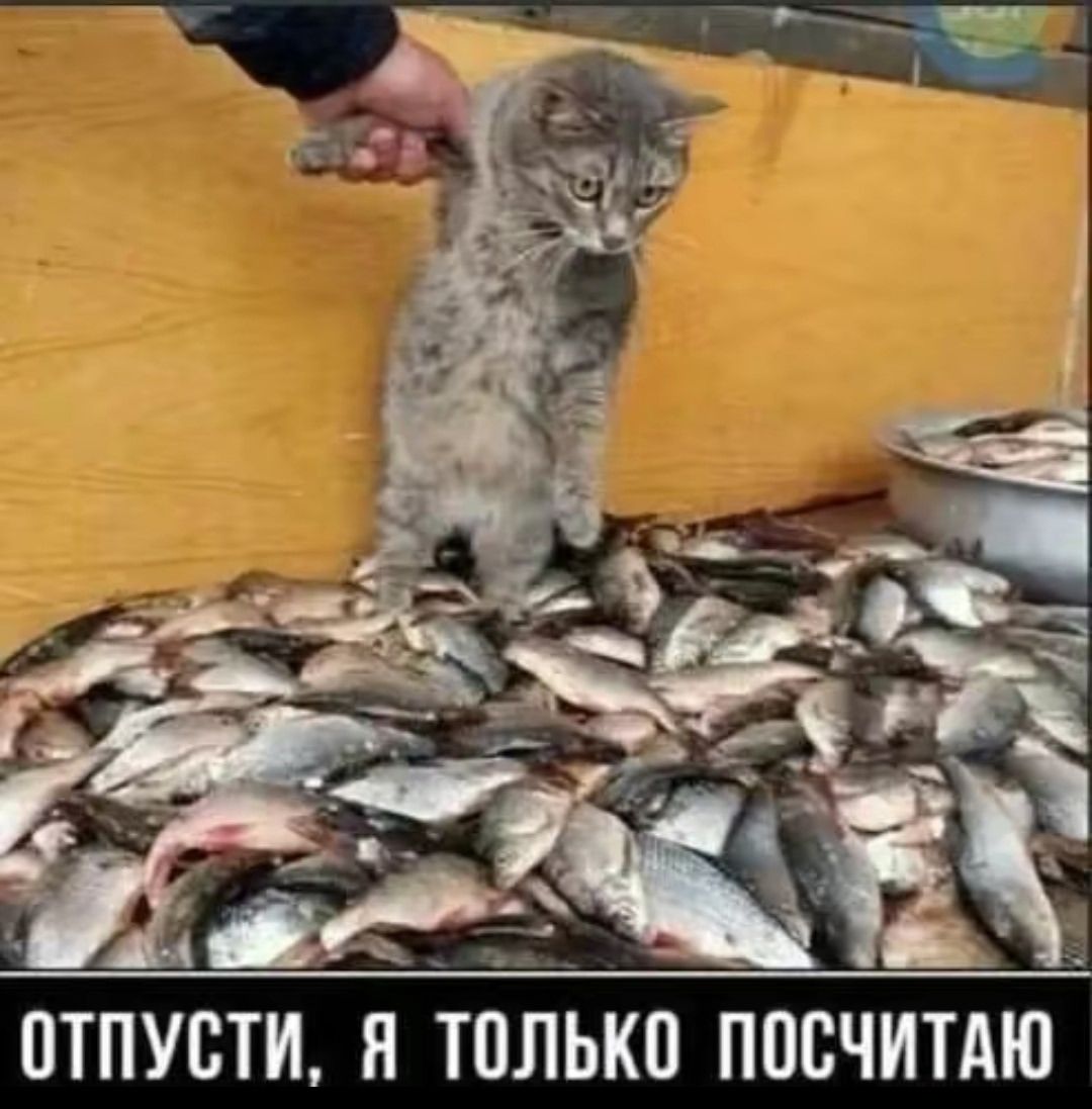 ОТПУСТИ, Я ТОЛЬКО ПОСЧИТАЮ