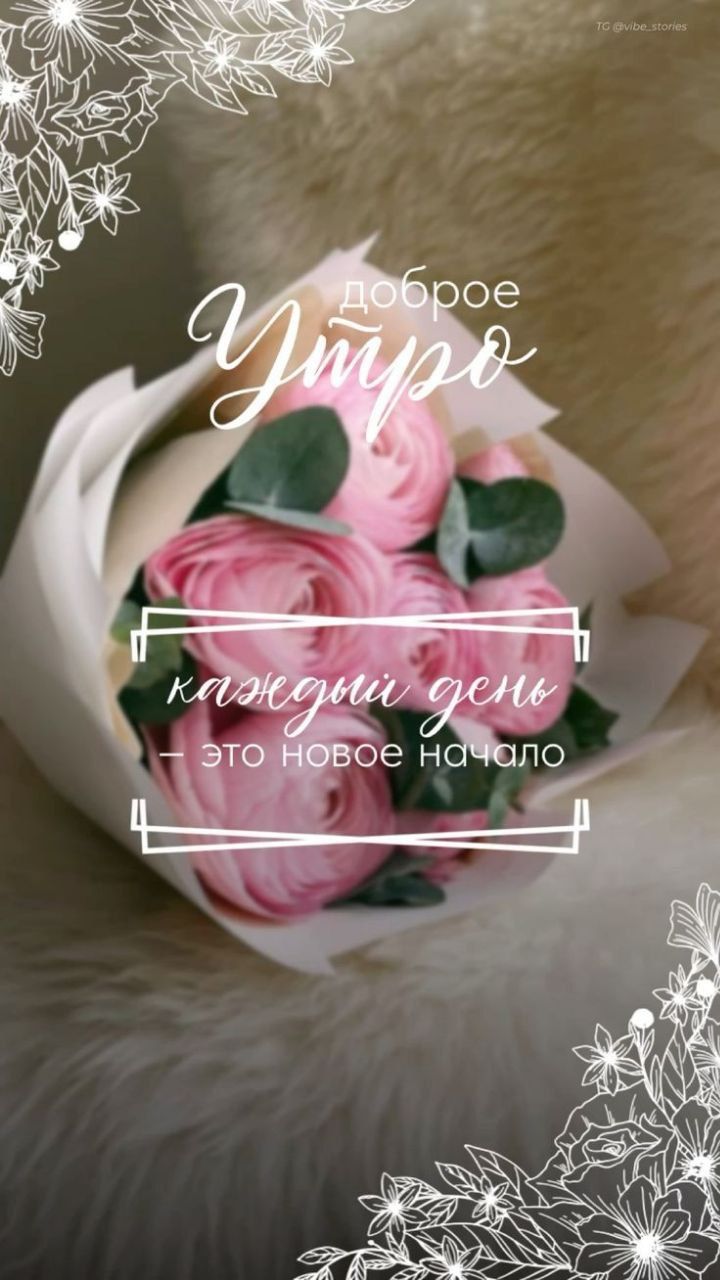 доброе Утро
каждый день - это новое начало