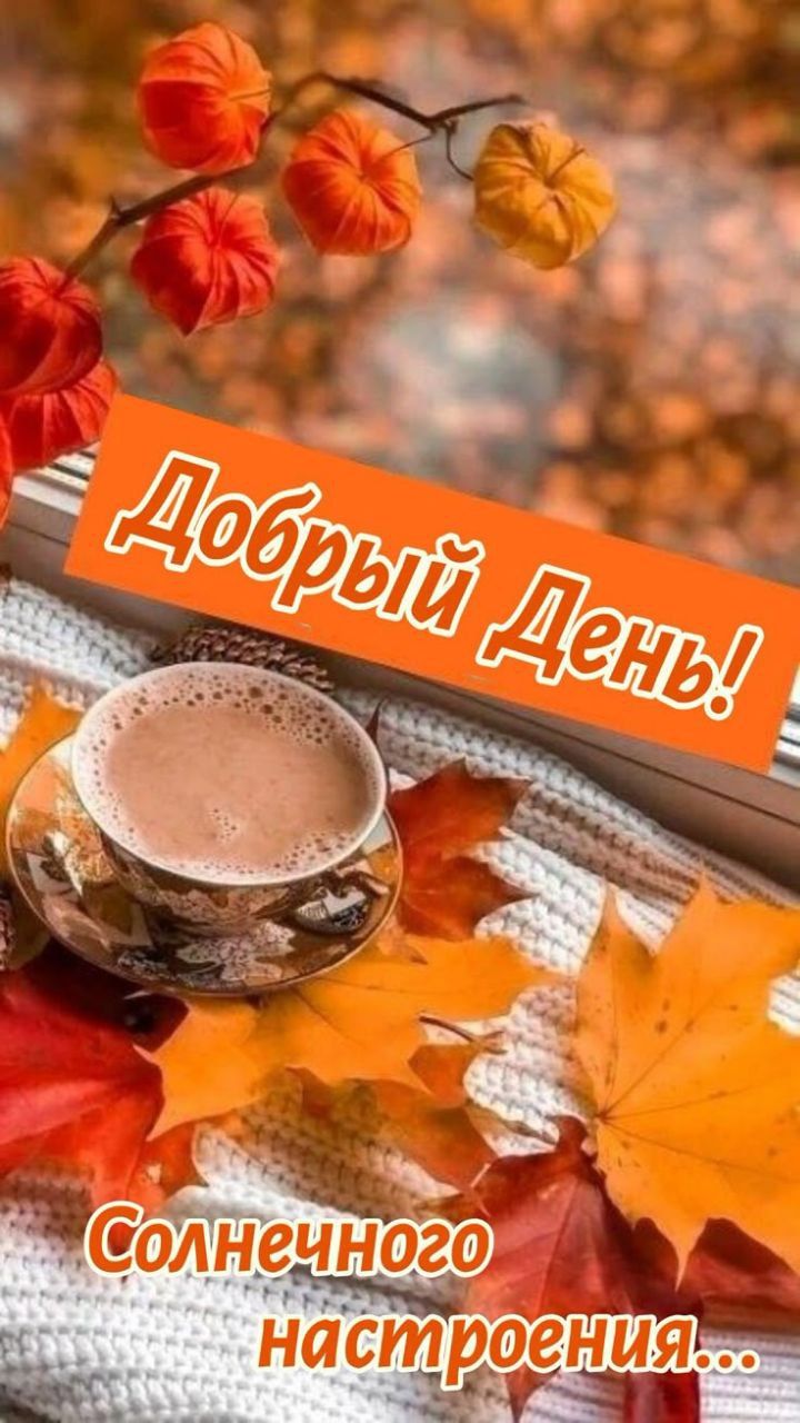 Добрый День!
Солнечного настроения...
