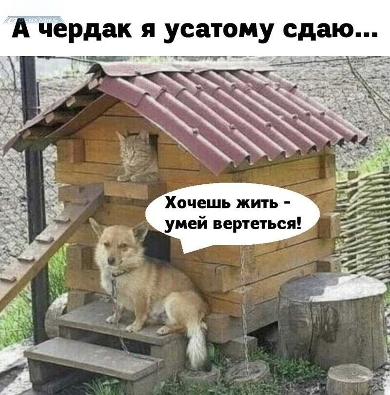 А чердак я устатом сдаю... Хочешь жить - умей вертеться!