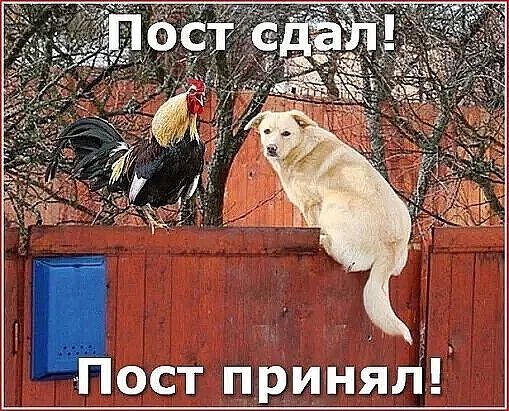 Пост сдал!
Пост принял!