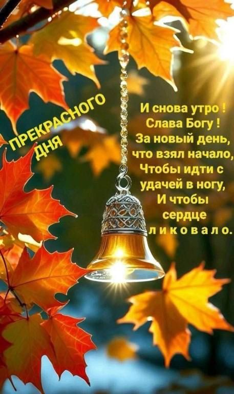 ПРЕКРАСНОГО ДНЯ
И снова утро!
Слава Богу!
За новый день,
что взял начало,
Чтобы идти с удачей в ногу,
И чтобы сердце ликковало.