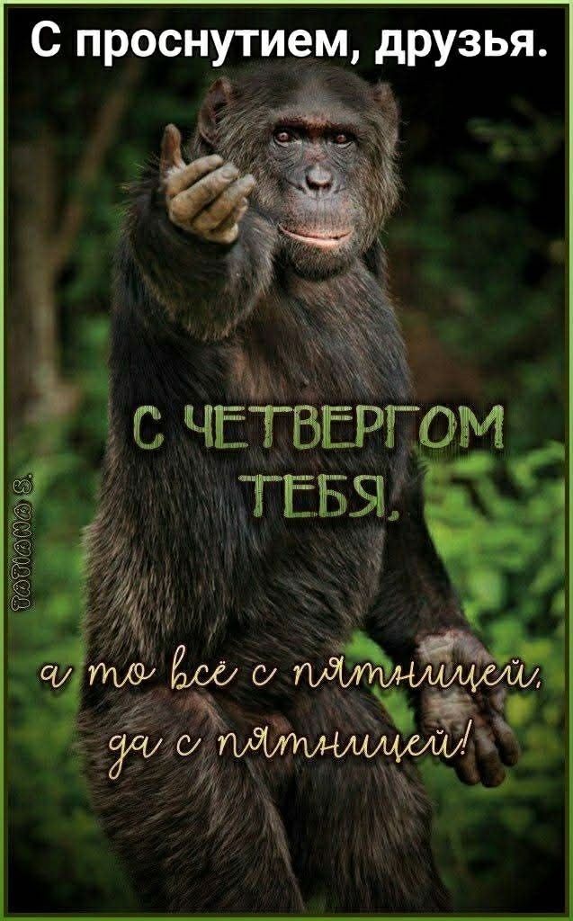С проснусм, друзья. С ЧЕТВЕРГом ТЕБЯ, а то всё с пятницей, да с пятницей!